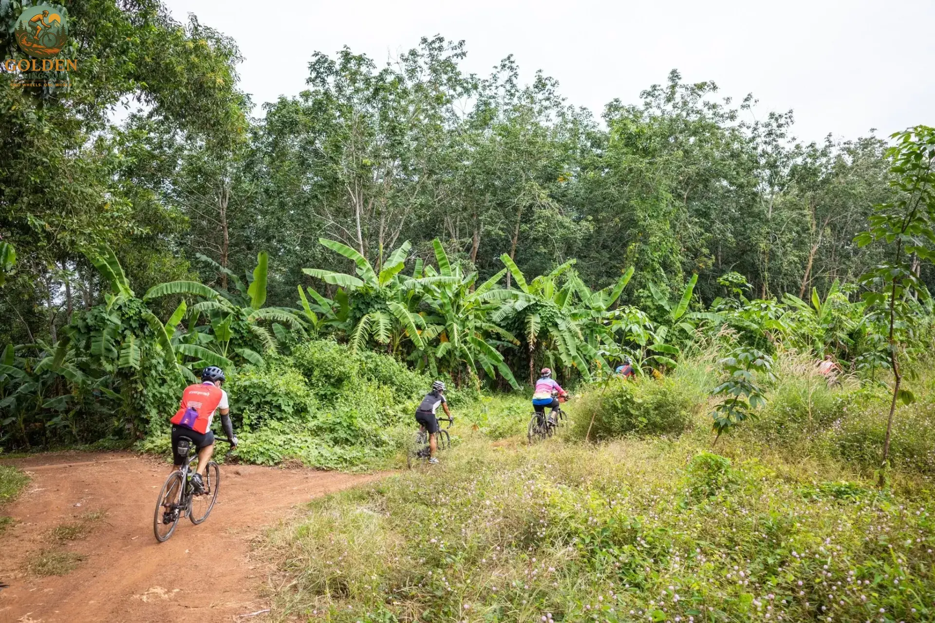 1787052966_national-parks-e-bike-tours-north-vietnam-pure-alpine-freedom.webp