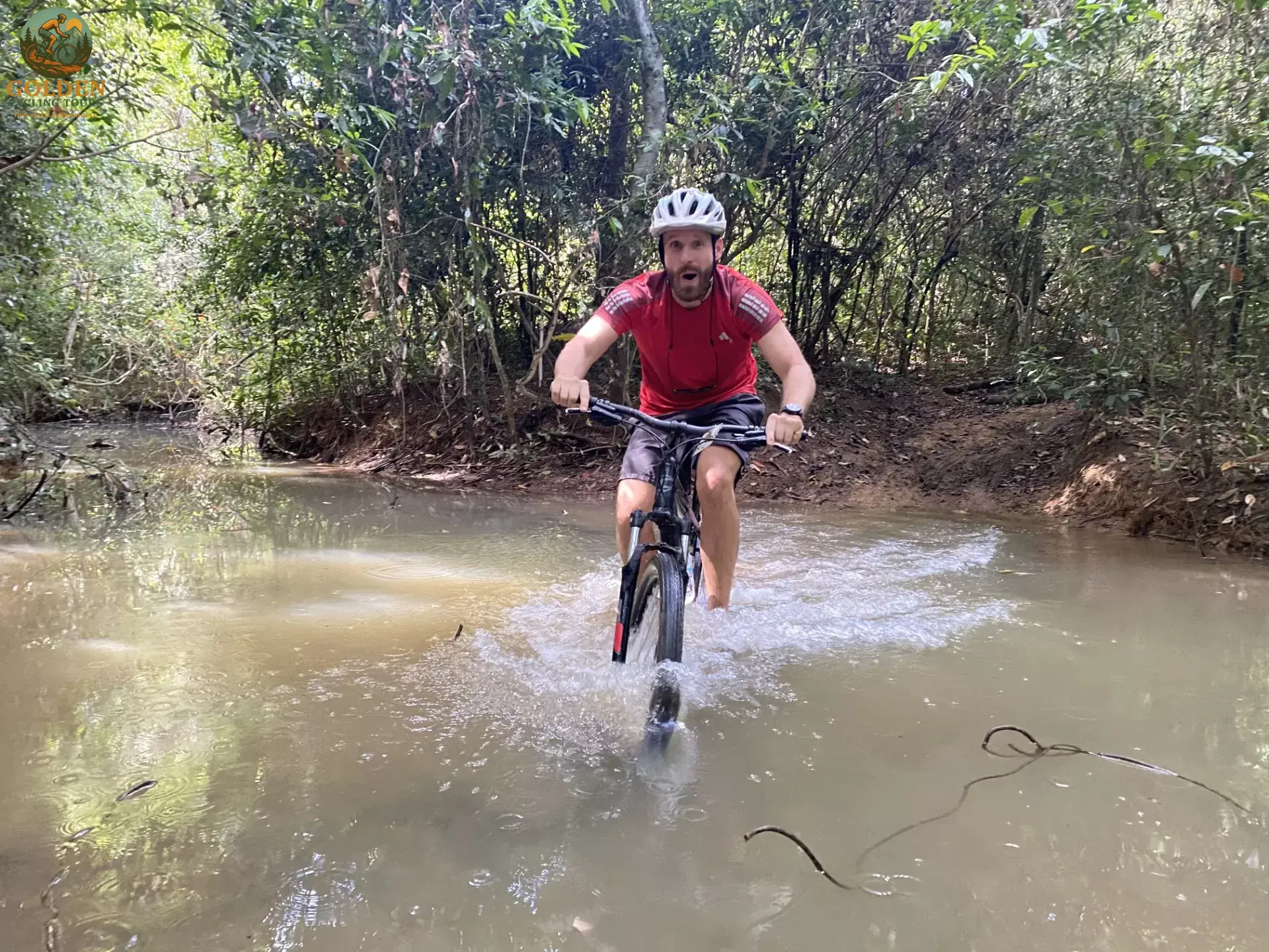 Travel Like a Local, Ride Like a Pro: E-Bike Cycling Tours North Vietnam