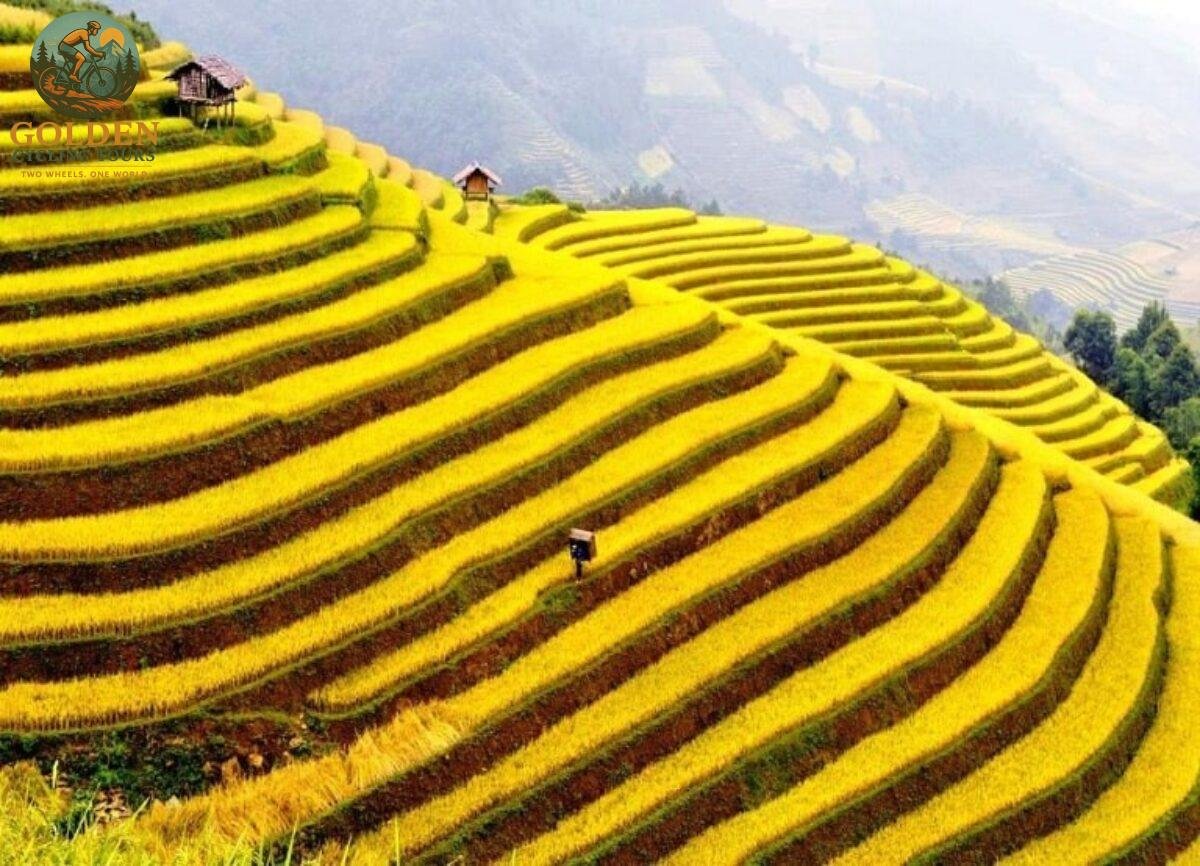 Cross-Northern Loop Challenge: 10-Day Road Bike Cycling Holidays North Vietnam