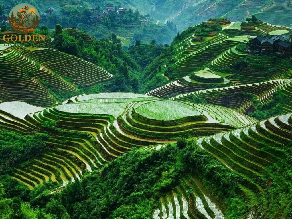 Best Dirt & Forest Trails: Off-Road Gravel Bike Tours North Vietnam