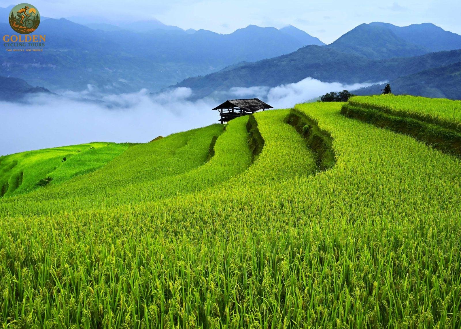 Ride Like a Local Pro: Guided Road Bike Cycling Holidays North Vietnam