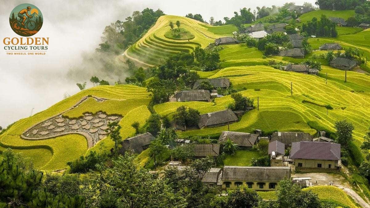 Hoang Su Phi Cycling Tours: Ride Through Rice Terraces