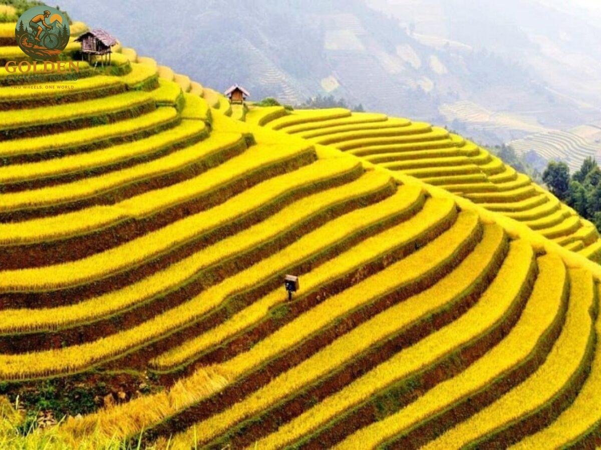 Biking Hoang Su Phi: UNESCO Terrace Biking Adventure