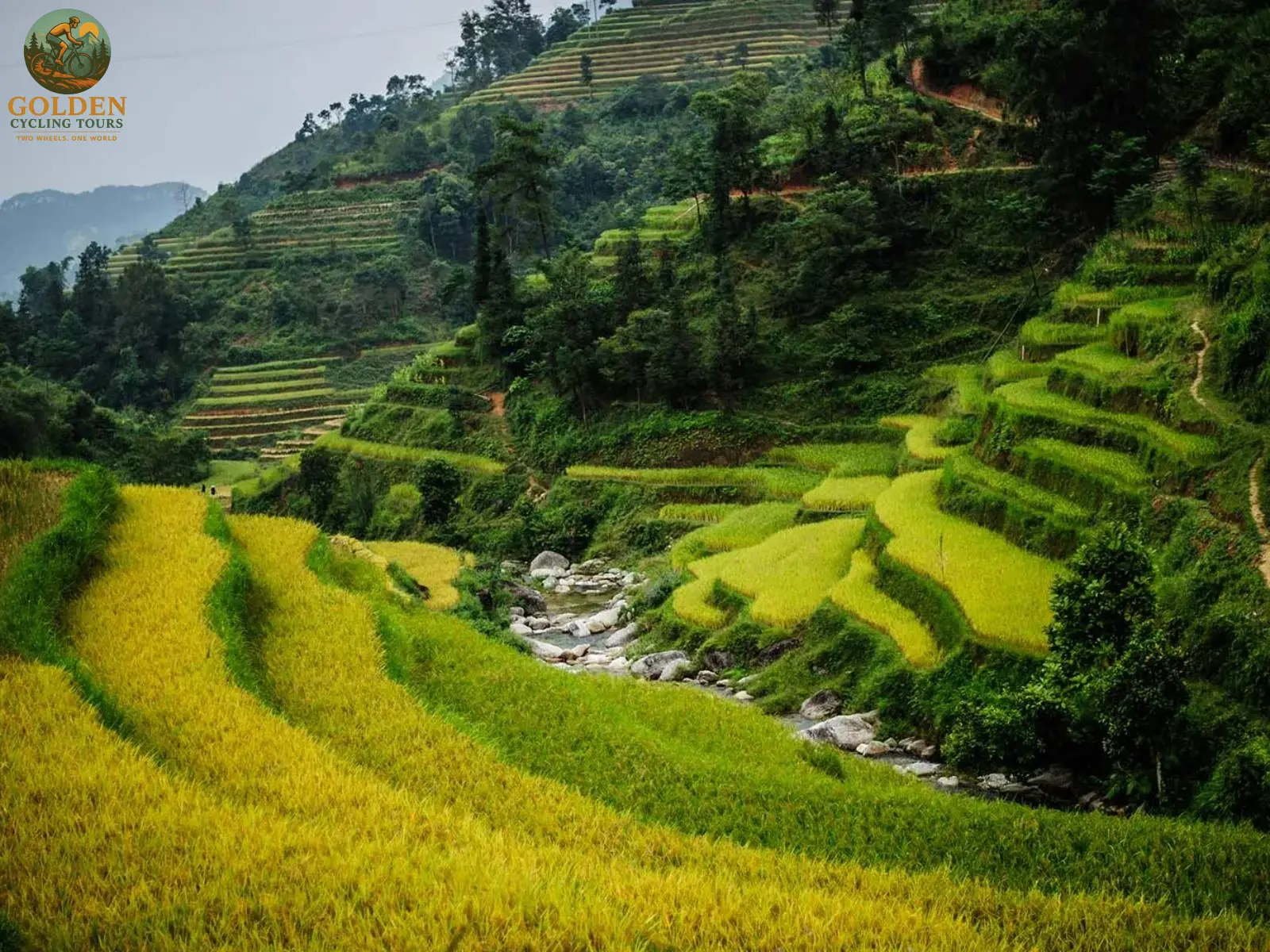 1787283471_hoang-su-phi-off-road-biking-singletrack-mountain-adventures.webp