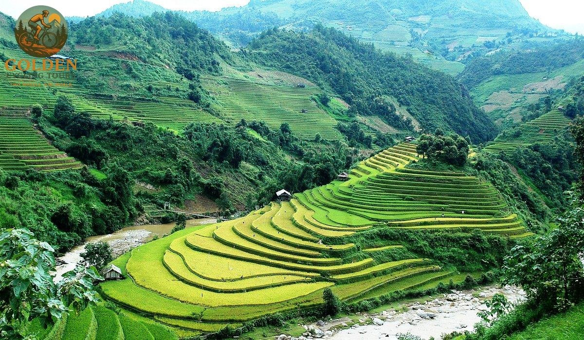 3-Day Mu Cang Chai Cycling Expedition: Terraces, Passes & Hmong Culture