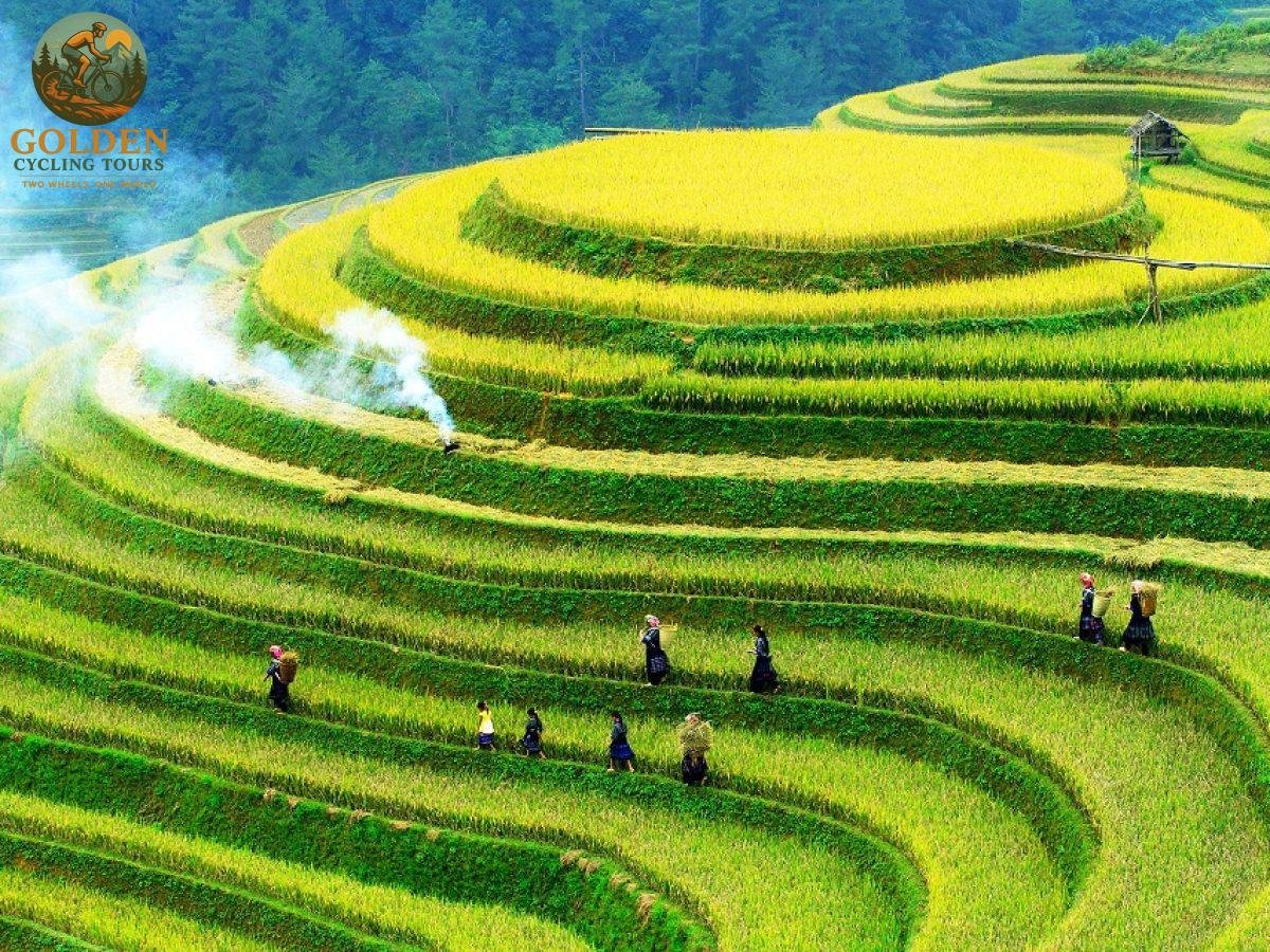1787287381_mu-cang-chai-e-bike-tour-effortless-biking-across-rice-fields.jpg