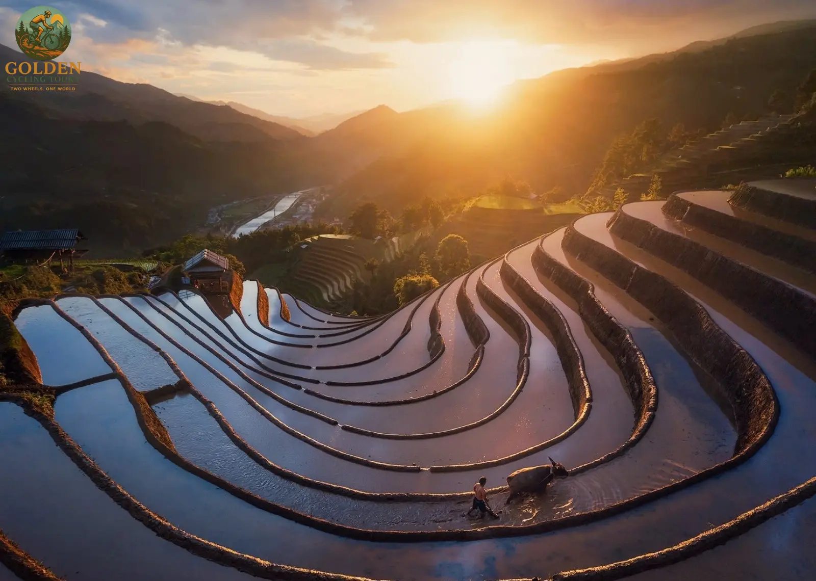 1787287876_biking-mu-cang-chai-to-tu-le-valleys-springs.webp