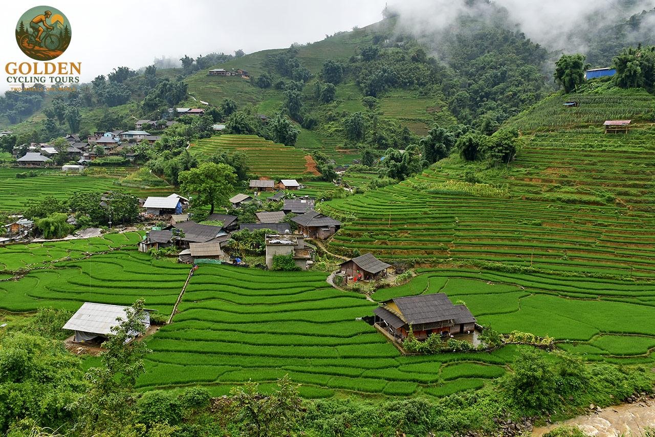 1787300305_sapa-gravel-bike-tour-exploring-hidden-tribal-trails-rice-terraces.jpg