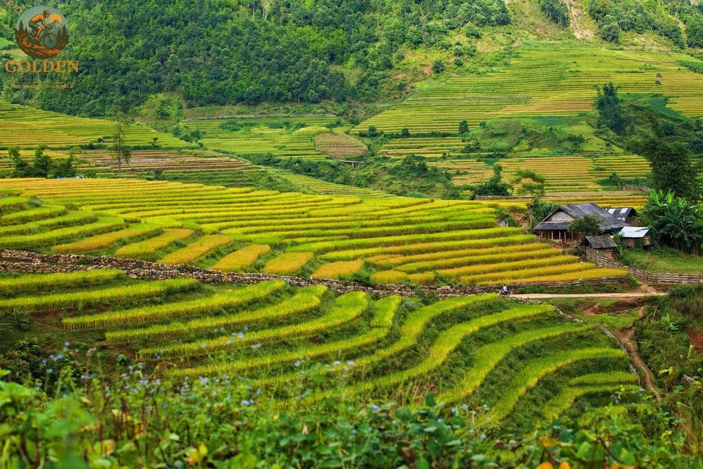 1787303720_private-mai-chau-pu-luong-bike-tour-golden-cycling-tours.jpg