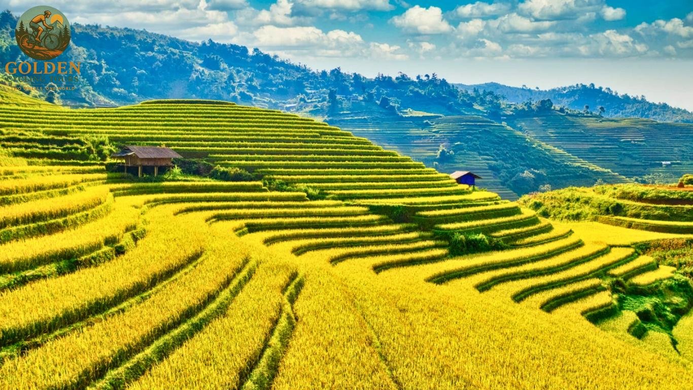 1787310100_northern-vietnam-mtb-tours-singletrack-trails.jpg