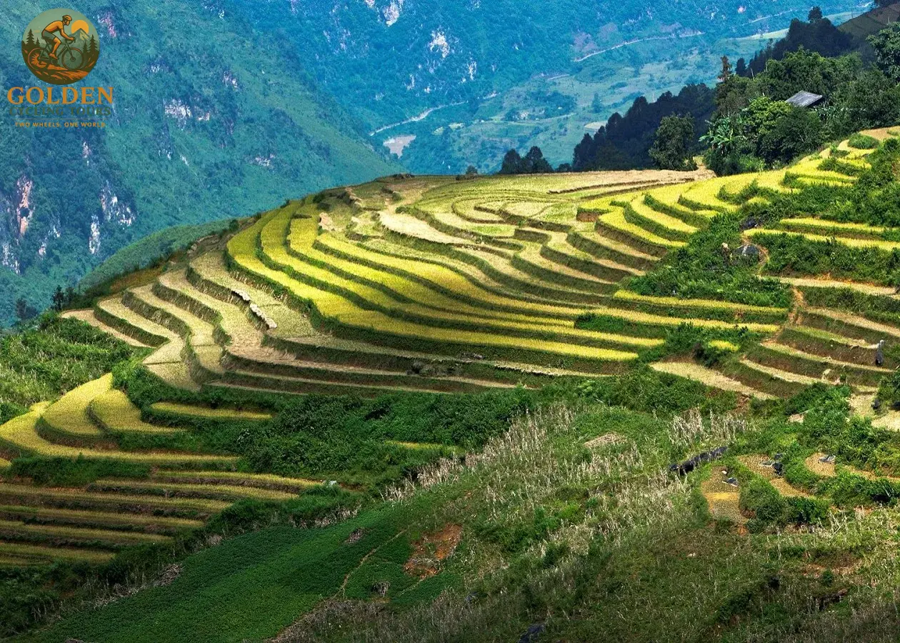 1787397688_pu-luong-mai-chau-gravel-cycling-countryside-forest-paths.webp