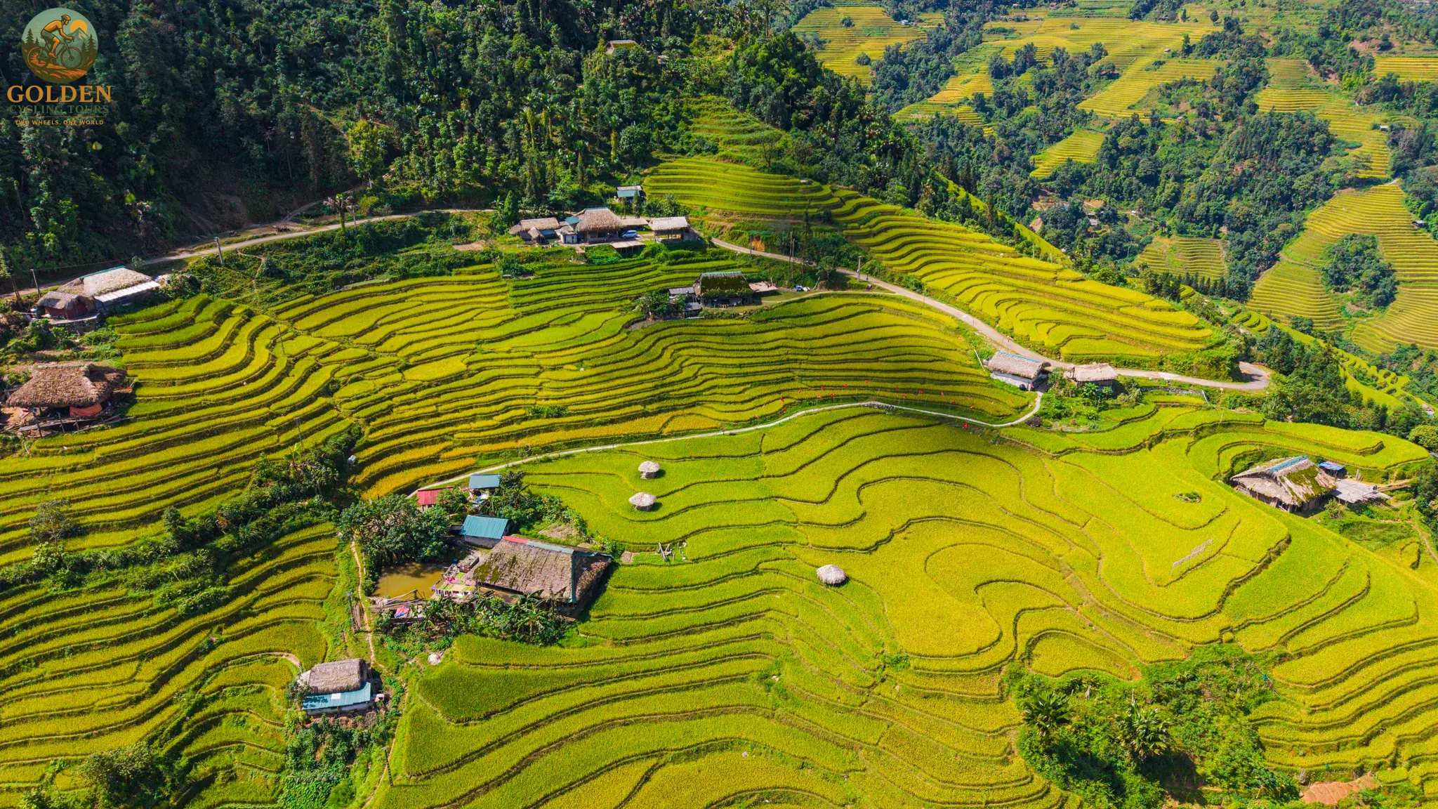 1787399291_sapa-mu-cang-chai-e-bike-tour-scenic-terrace-biking.webp