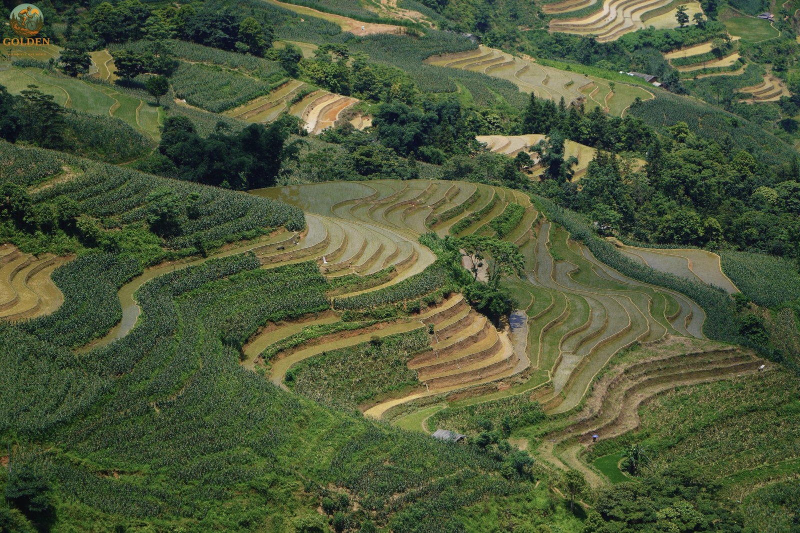 1787481398_ha-giang-cycling-tour-for-couples-romantic-alpine-guide.jpg