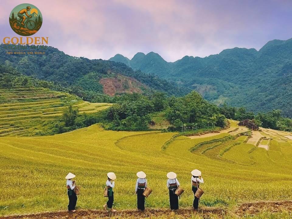 1787482878_pu-luong-cycling-tour-ultimate-nature-guide.jpg