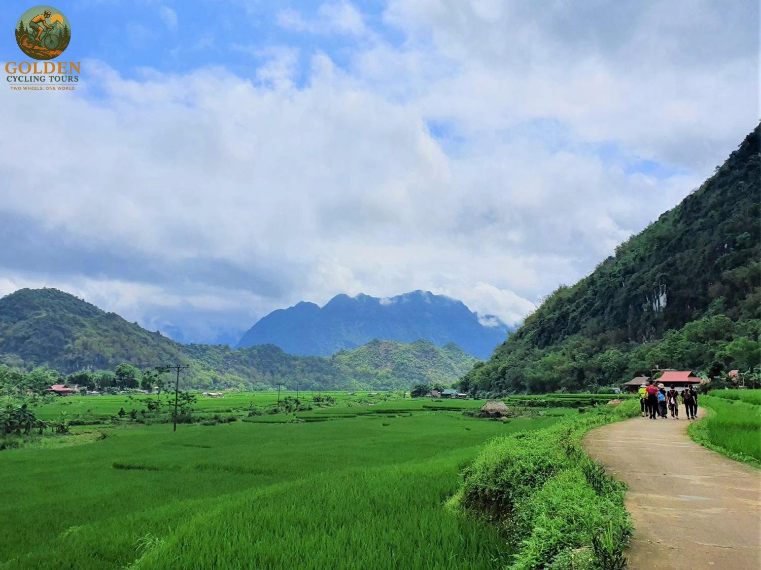 1787542882_cycling-mai-chau-rice-fields-the-ultimate-emerald-valley-guide.jpg