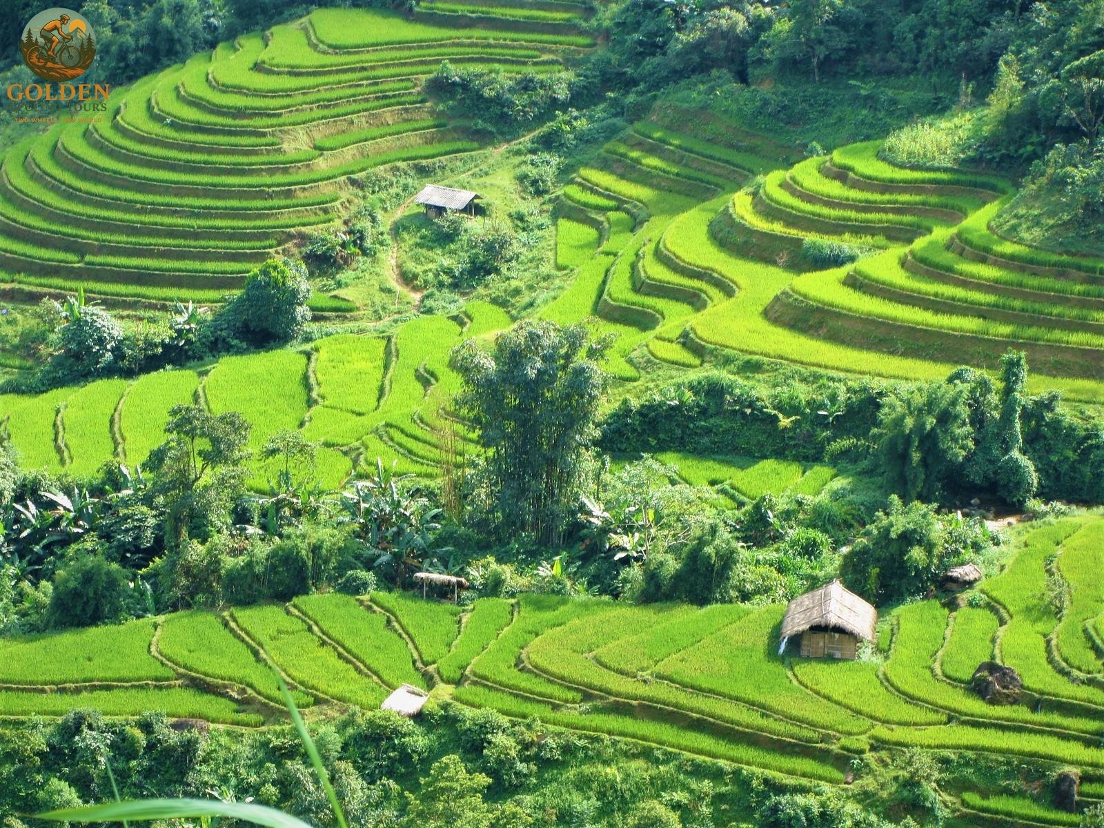 1787640392_northern-vietnam-e-bike-tours-ultimate-electric-cycling-guide.jpg