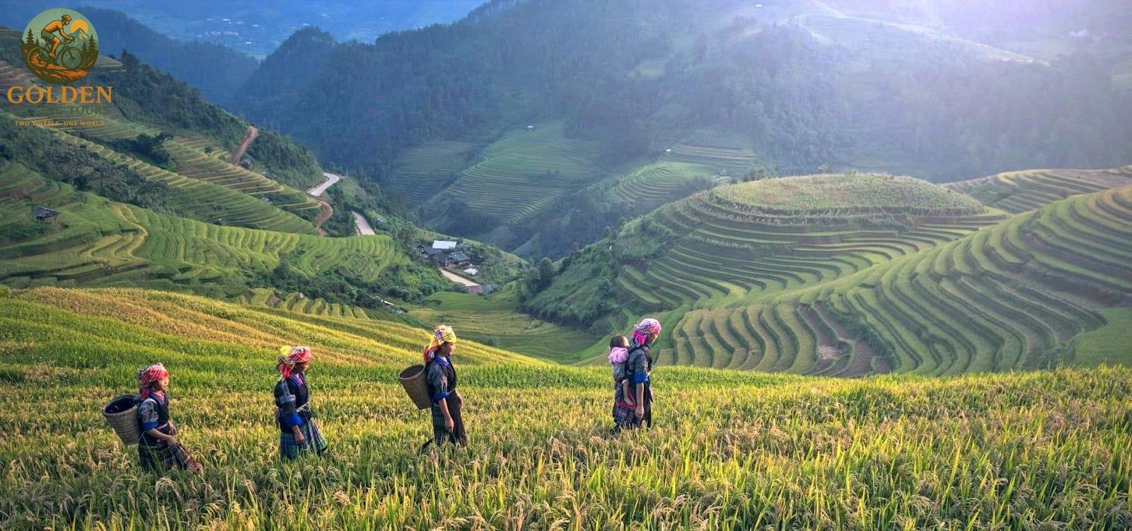 1787720183_ha-giang-bike-tour-ultimate-northern-vietnam-guide.jpg