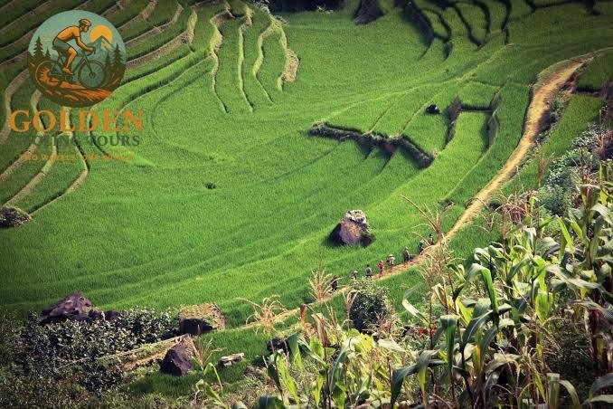 1787720497_pu-luong-cycling-tour-ultimate-northern-vietnam-guide.jpg