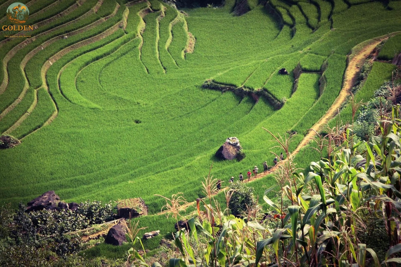 1787809643_biking-club-training-adventure-trips-in-northern-vietnam.jpeg