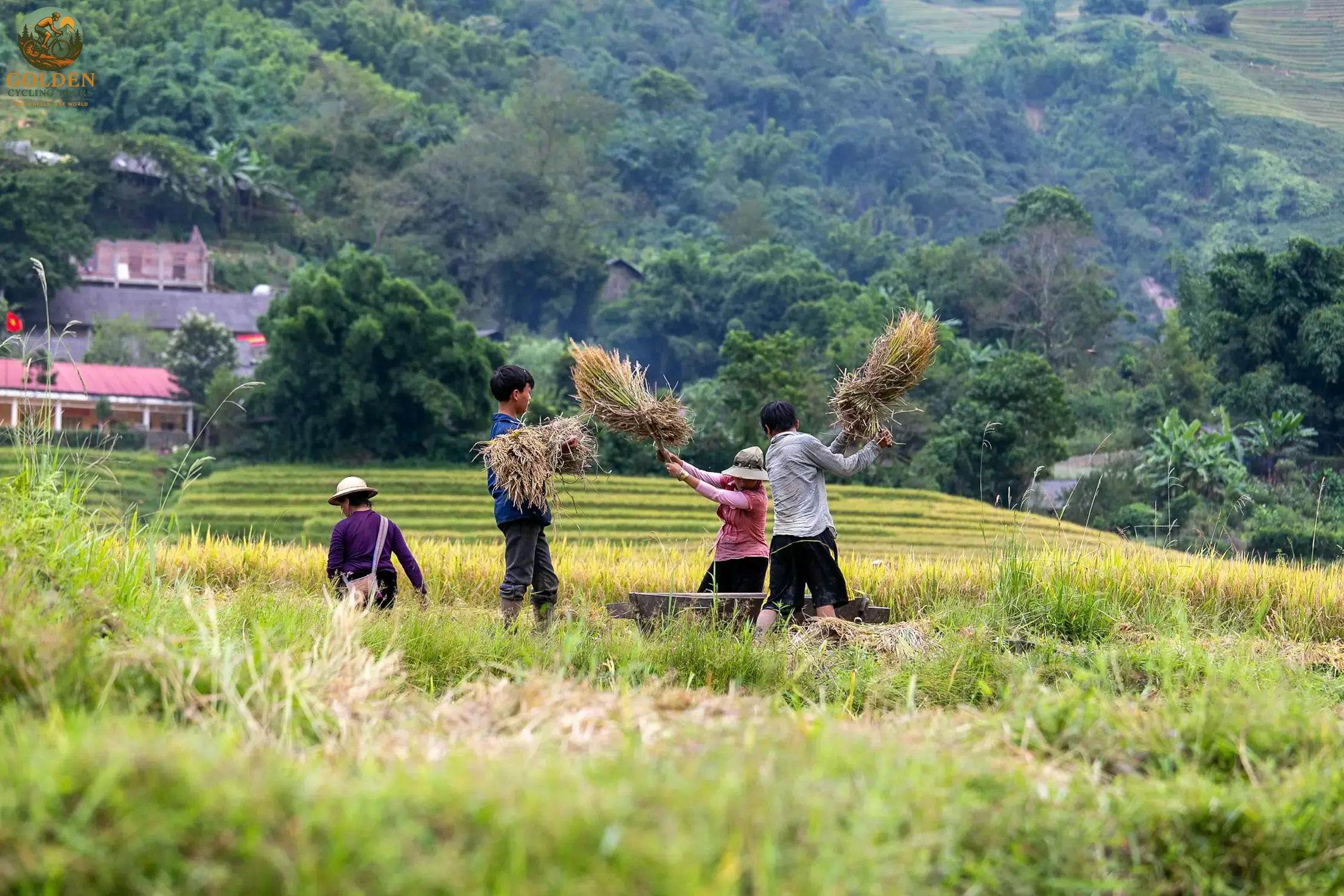 1787813275_northern-vietnam-cycling-tour-ultimate-biking-adventures-in-the-north.webp