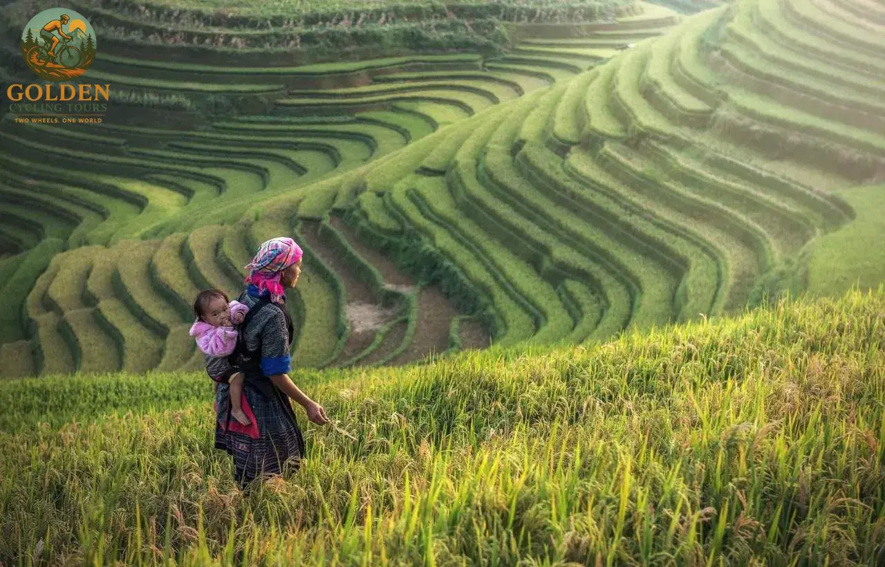 1787813408_why-we-specialize-exclusively-in-northern-vietnam-biking-golden-cycling-tours.webp