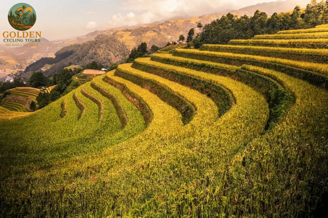 1791949011_mucangchai-cycling-tours-2.webp