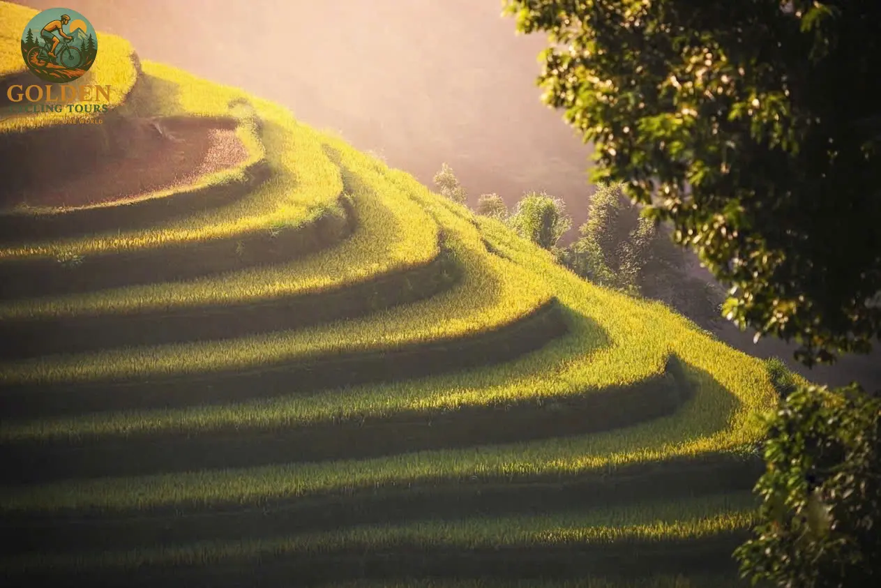 1791949392_mucangchai-cycling-tours-4.webp