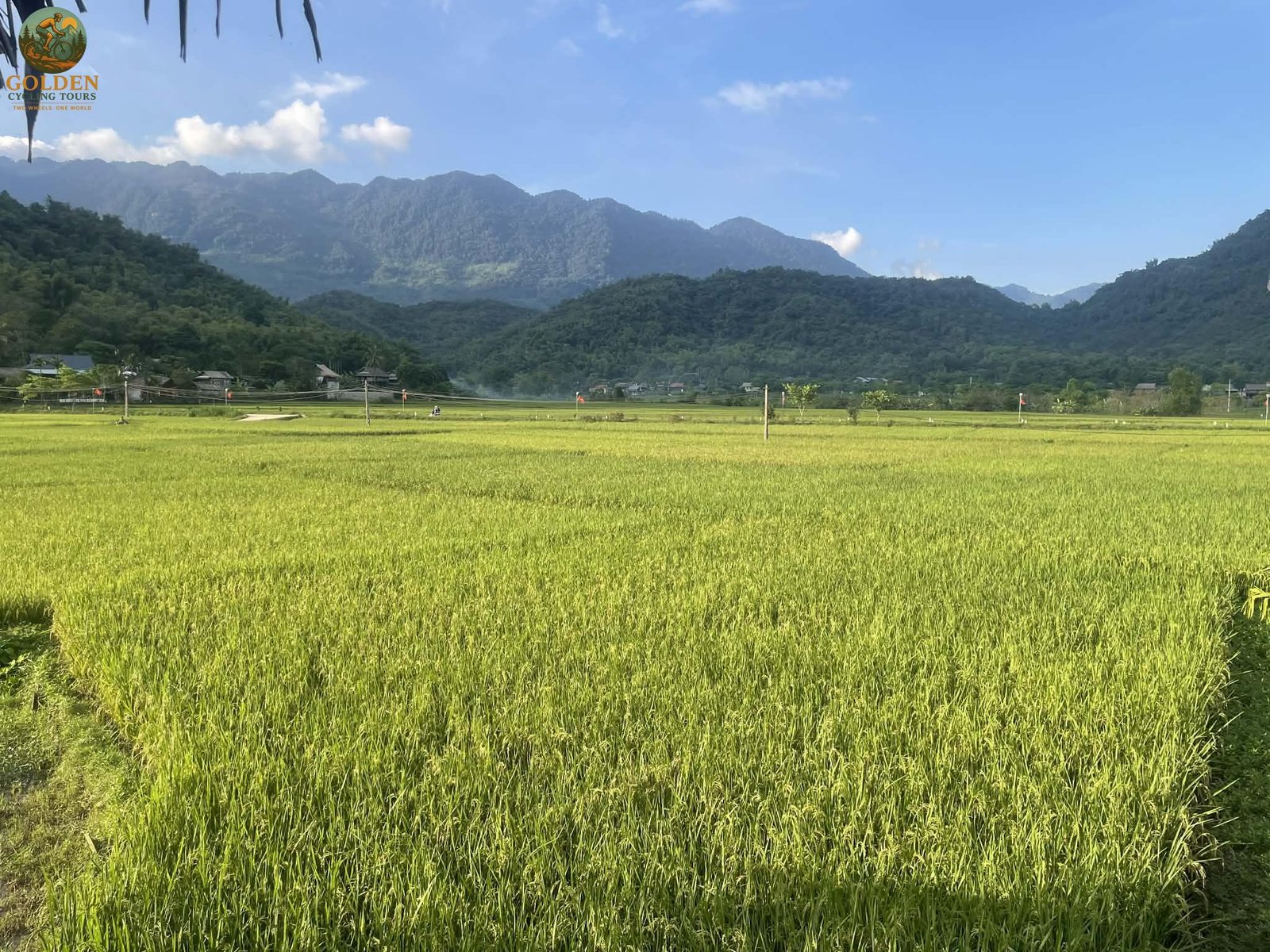 1792293186_pu-luong-cycling-tours.jpg